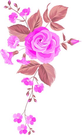 鲜花素材