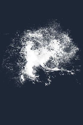 水花