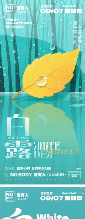 白露纹理插画系列海报