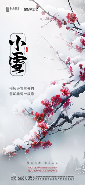 小雪节气、小雪、寒梅、下雪