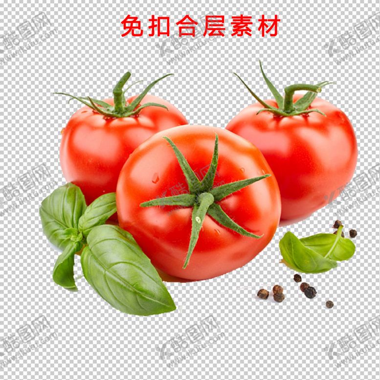 编号：47982110042127458965【酷图网】源文件下载-番茄