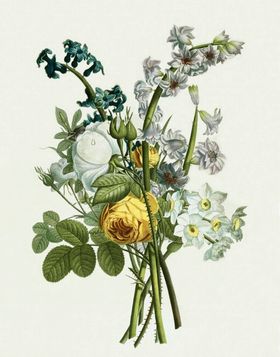 复古色调植物花朵绘画