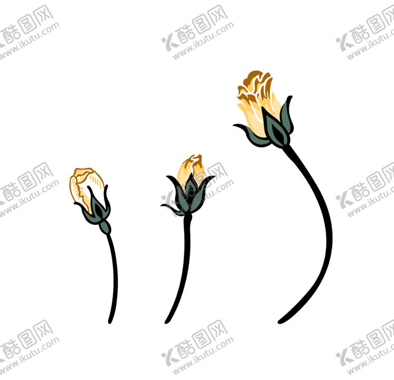 编号：69555005021959518288【酷图网】源文件下载-手绘花苞