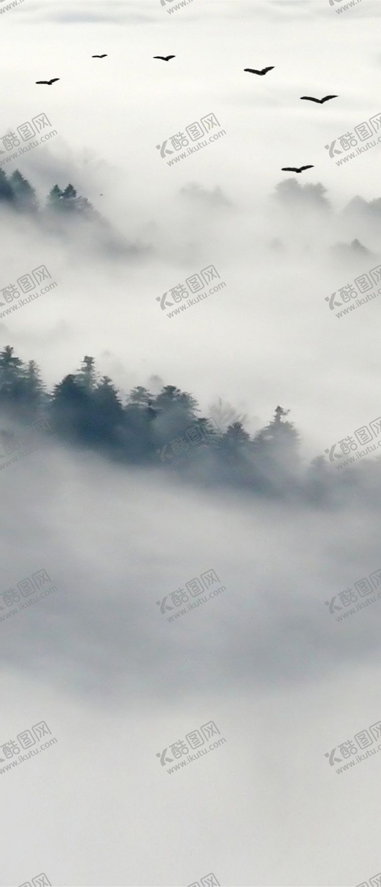 编号：85585111011940096666【酷图网】源文件下载-玄关装饰画