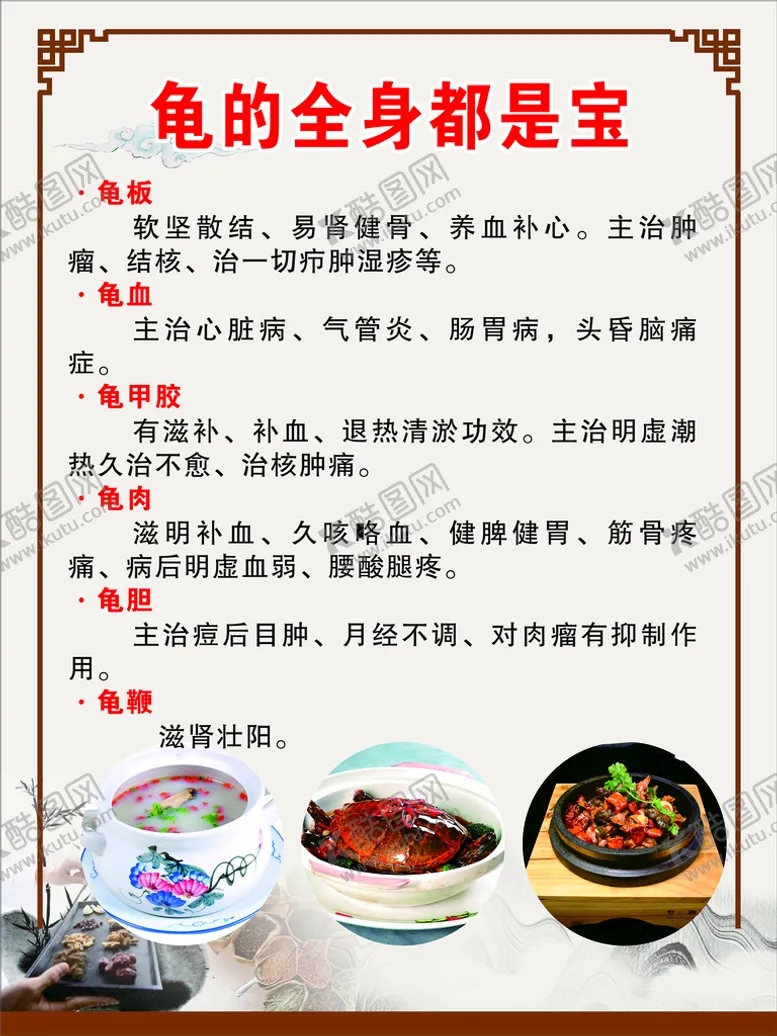 编号：17472312061133212050【酷图网】源文件下载-龟的全身都是宝海报