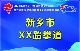 河南新金悦体育跆拳道比赛领队证