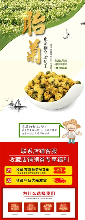 胎菊详情