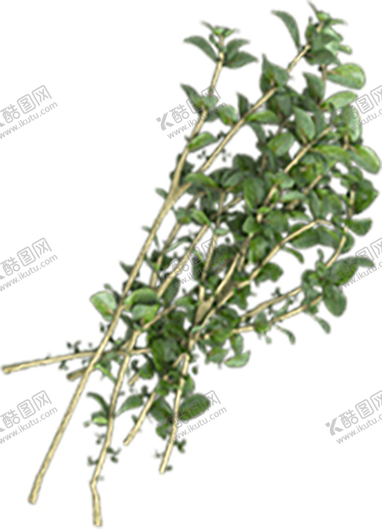 编号：79825907081152186790【酷图网】源文件下载-植物