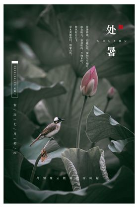 处暑