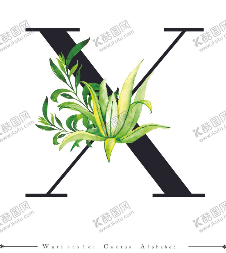 编号：40438109131836406365【酷图网】源文件下载-字母与水彩仙人掌组合字体