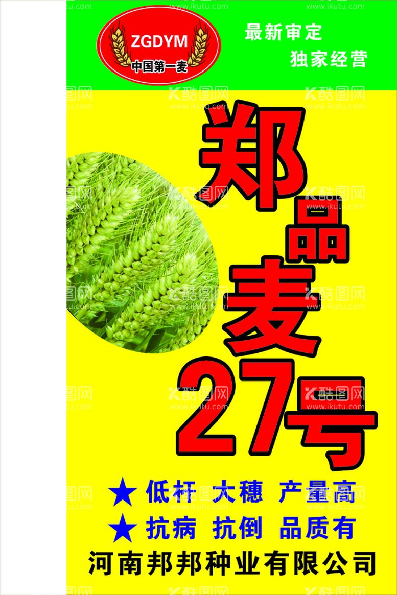 编号：34875412012340423784【酷图网】源文件下载-小麦种郑品麦27号