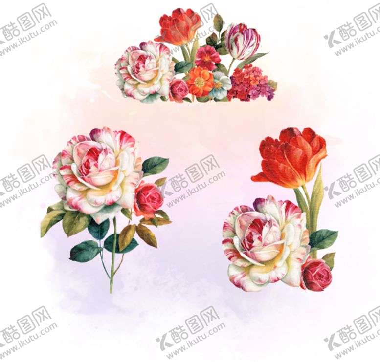 编号：69420509230746308306【酷图网】源文件下载-玫瑰花