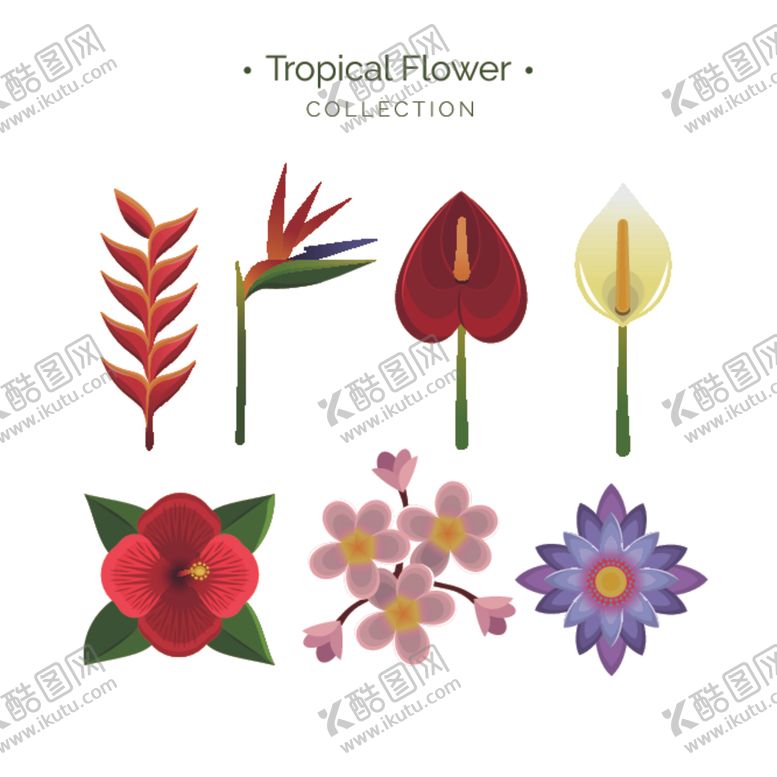 编号：62952909212115504295【酷图网】源文件下载-绿植花卉