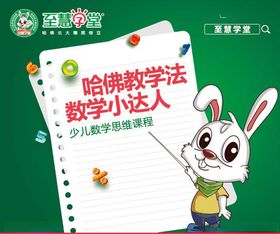 兔子老师海报