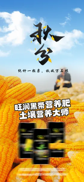 秋分丰收节天季立