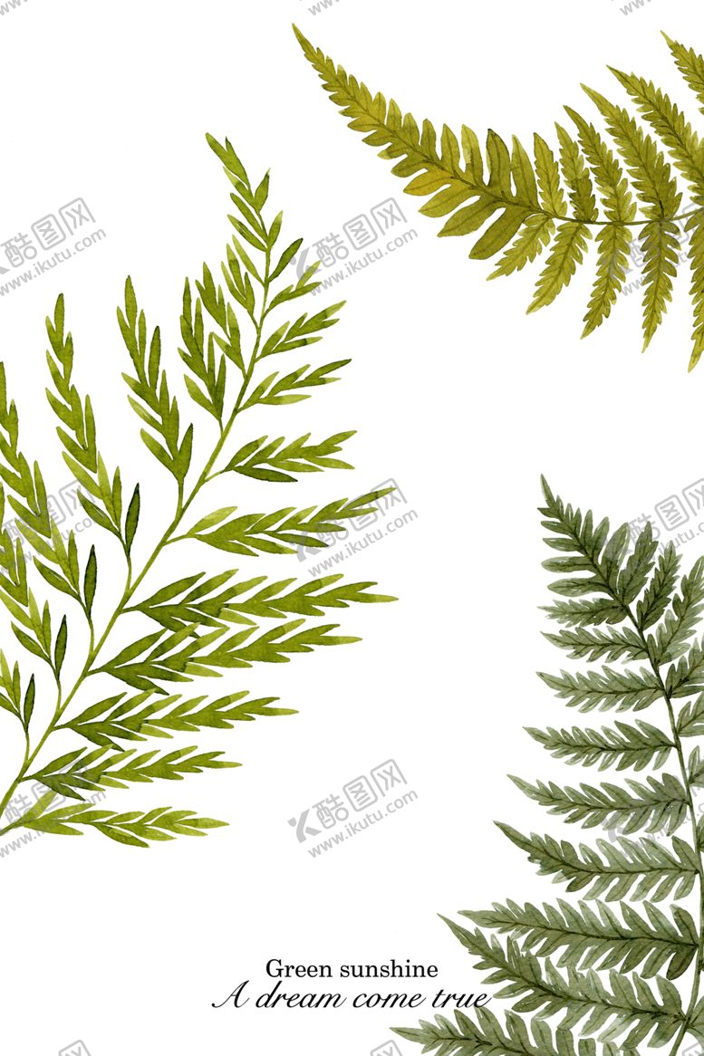 编号：14908007022256403606【酷图网】源文件下载-植物装饰画