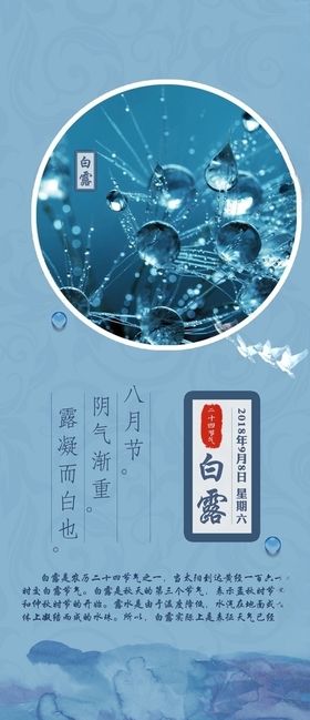 白露