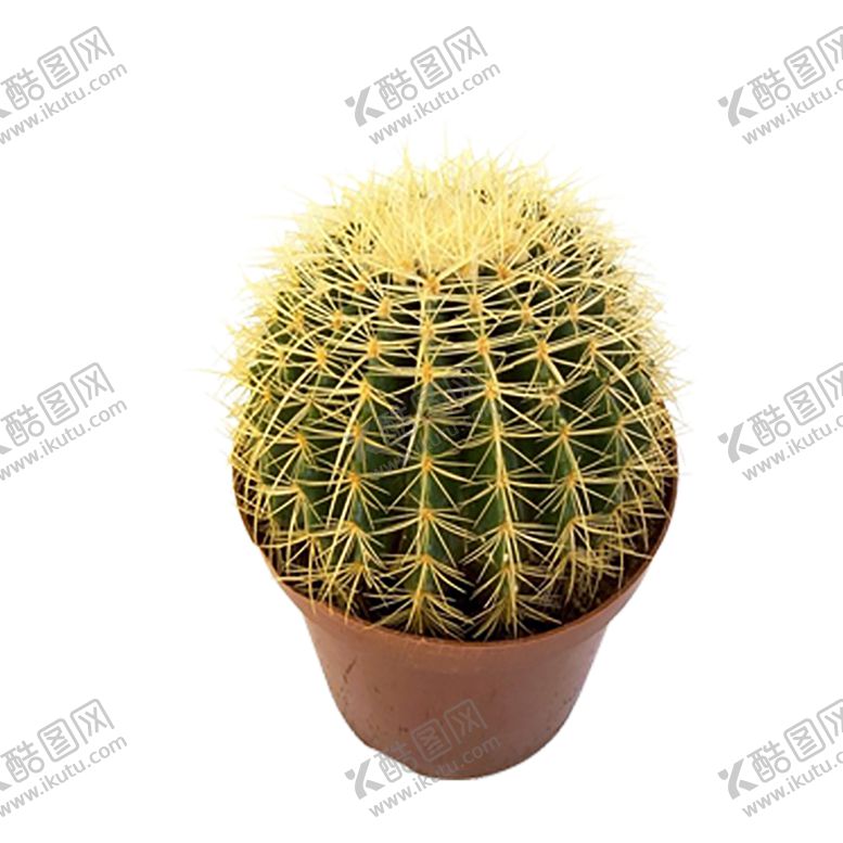 编号：99932609150939415241【酷图网】源文件下载-植物