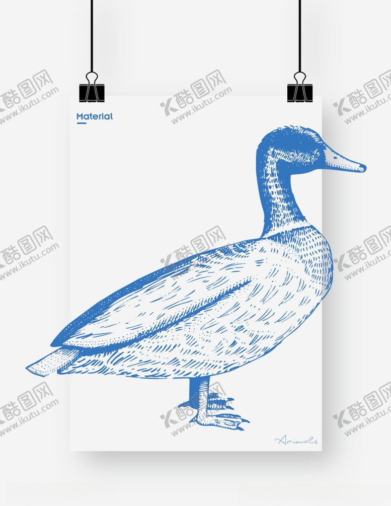 编号：73004309190013418336【酷图网】源文件下载-鸭子