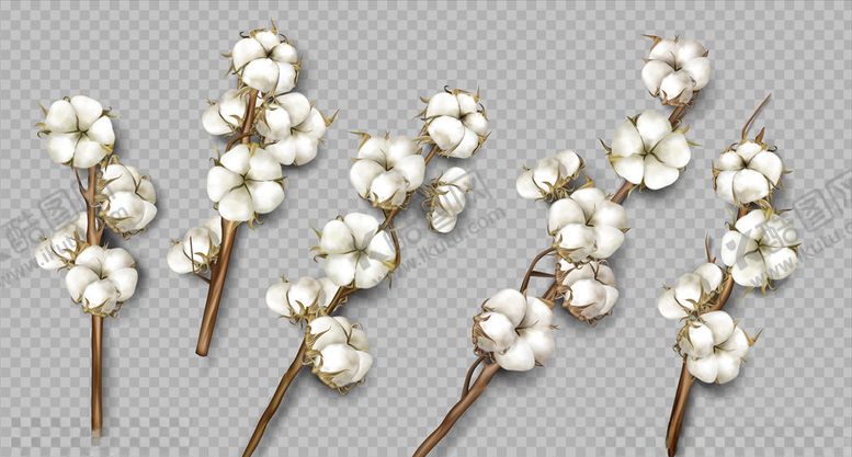 编号：62521210090624196138【酷图网】源文件下载-木棉花