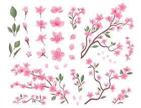 樱花矢量图