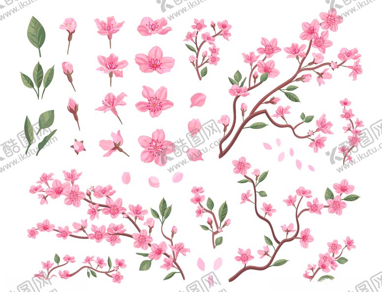 编号：81502209091424411598【酷图网】源文件下载-樱花矢量图