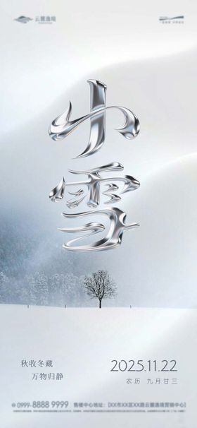 节气小雪极简海报