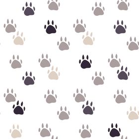 创意猫狗