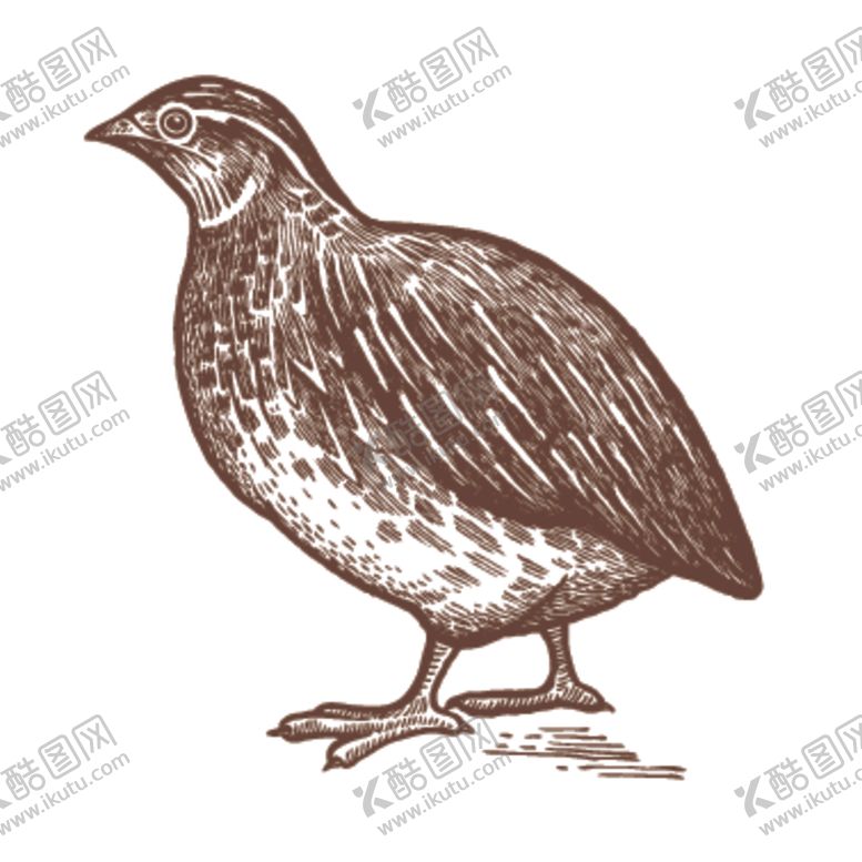 编号：90521010252011278236【酷图网】源文件下载-家养动物主题插画