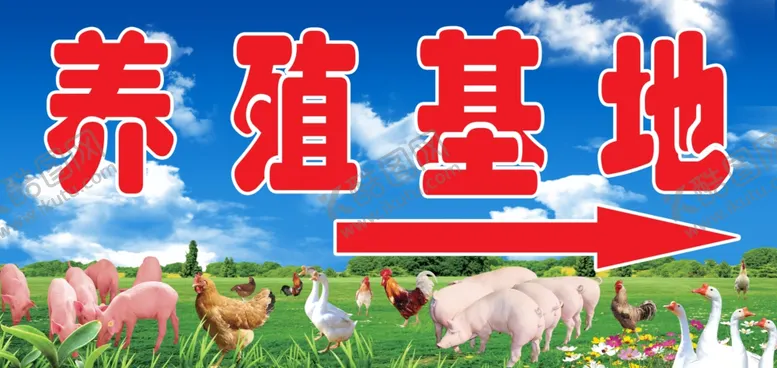 编号：80150504071227527935【酷图网】源文件下载-养殖基地