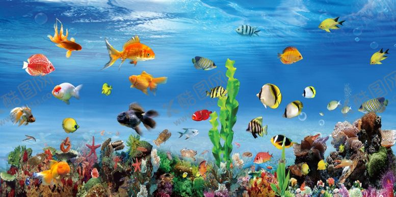 编号：53133709200734551818【酷图网】源文件下载-海底世界图片