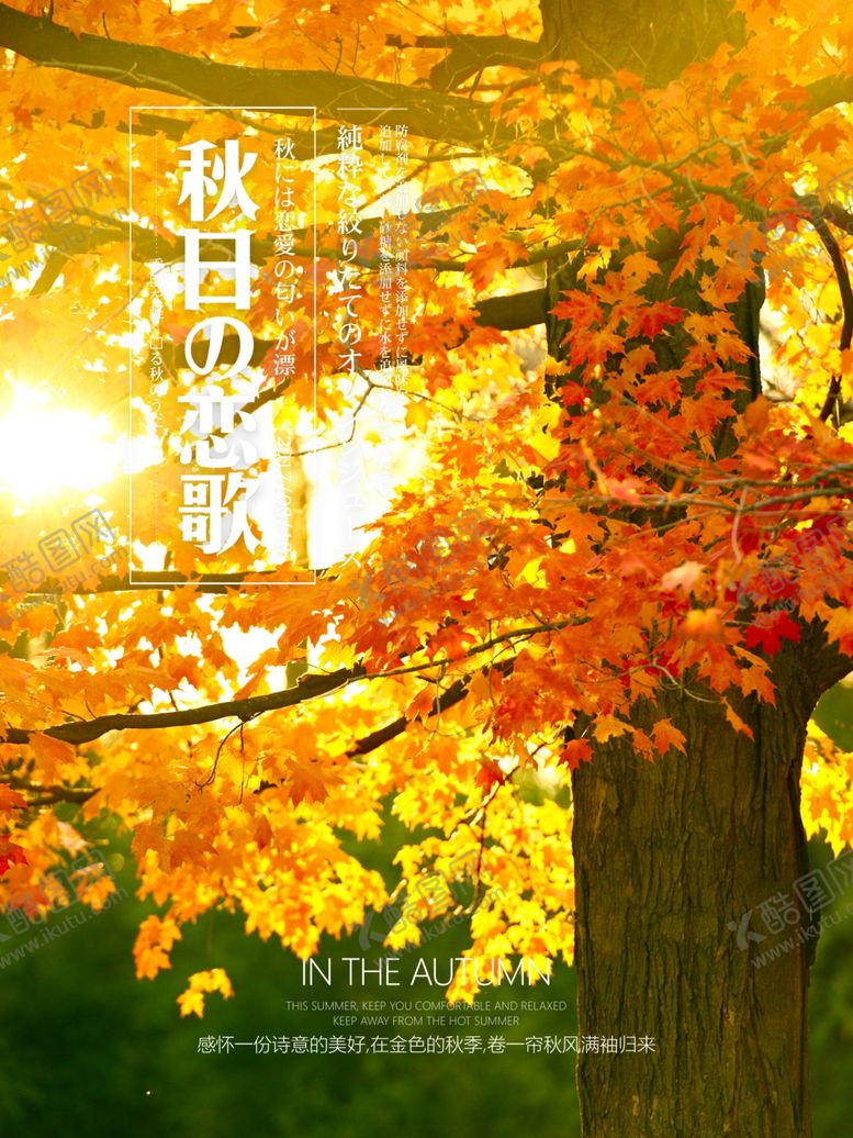 编号：54980203271256438727【酷图网】源文件下载-秋天