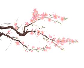 梅花树枝元素