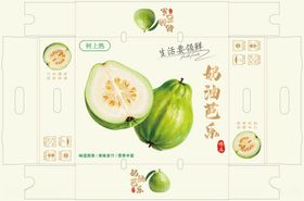青皮番石榴水果包装飞机盒