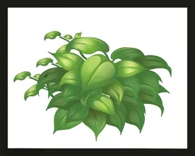 手绘绿叶绿植