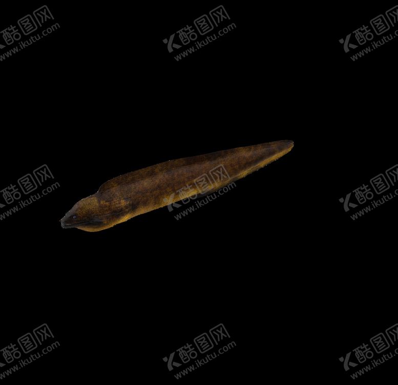 编号：64837706301958255374【酷图网】源文件下载-海洋生物