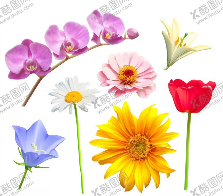 编号：29052709150451053671【酷图网】源文件下载-卡通花朵