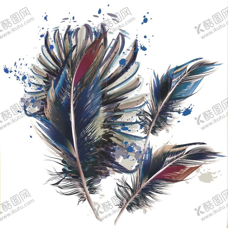 编号：68513309172332137130【酷图网】源文件下载-羽毛