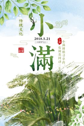 小满节气海报
