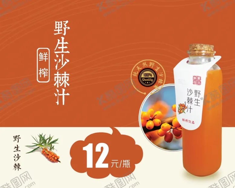 编号：66913906270345367337【酷图网】源文件下载-沙棘汁