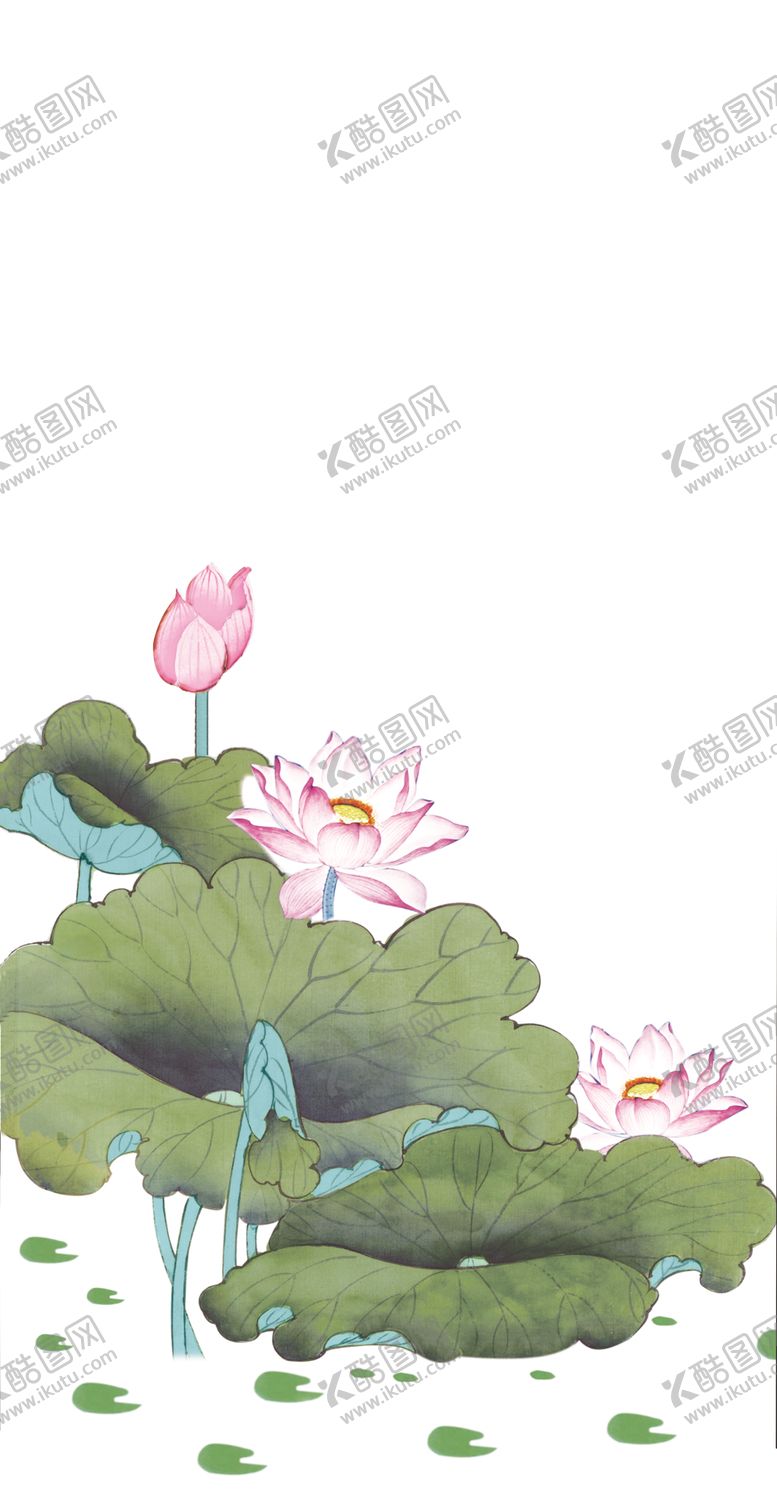 编号：99610906290804361511【酷图网】源文件下载-荷花