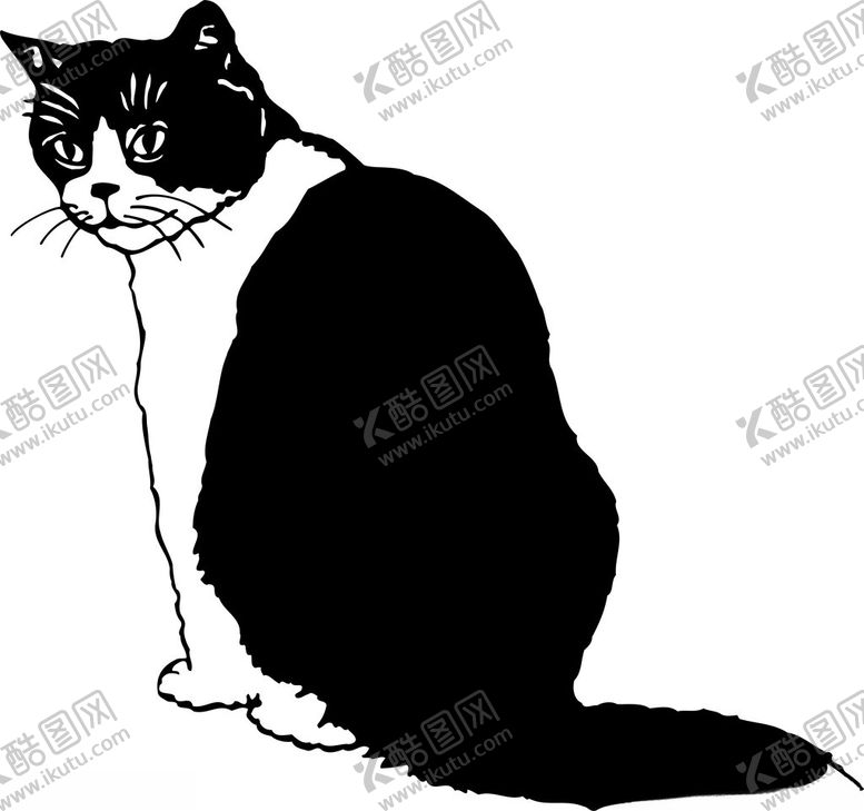 编号：56430902162310205619【酷图网】源文件下载-卡通手绘猫