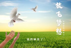 放飞梦想