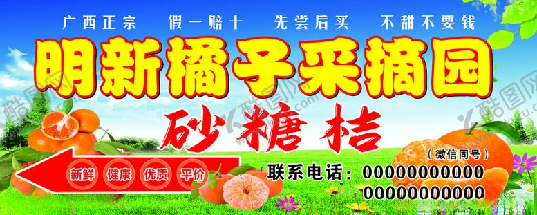 编号：10182602231212402554【酷图网】源文件下载-砂糖橘