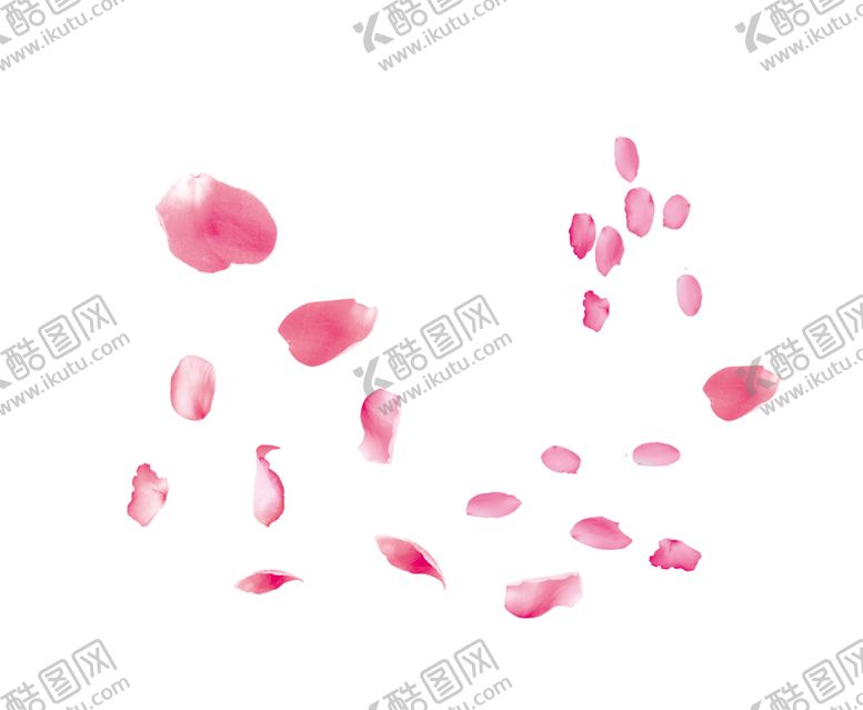 编号：53711010070310288984【酷图网】源文件下载-飘落的花瓣