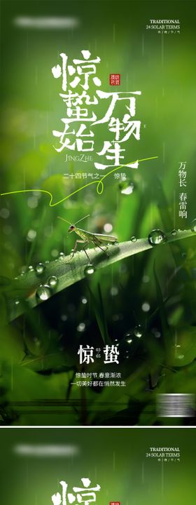 惊蛰写实系列海报