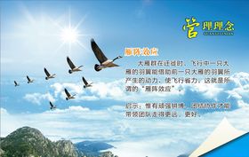 企业管理雁阵效应