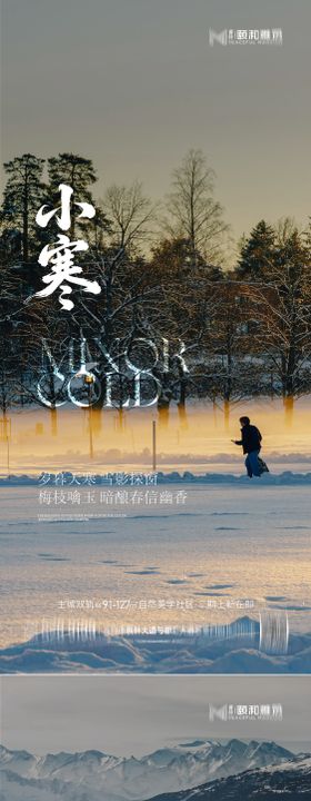 二十四节气海报小寒节气海报