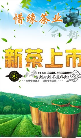 新茶上市