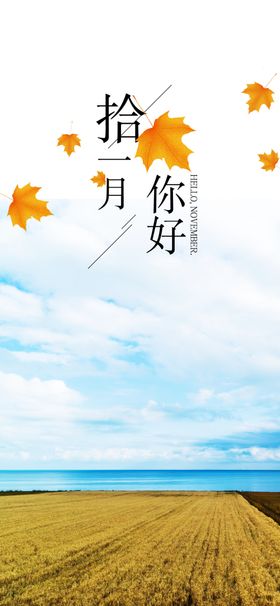 十一月你好